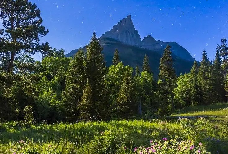 敬畏自然珍爱生命拍手舞,敬畏自然珍爱生命倡议书