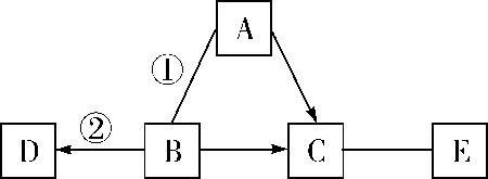 物质的转化与推断会用到的物质,初三化学上册的物质转化与推断
