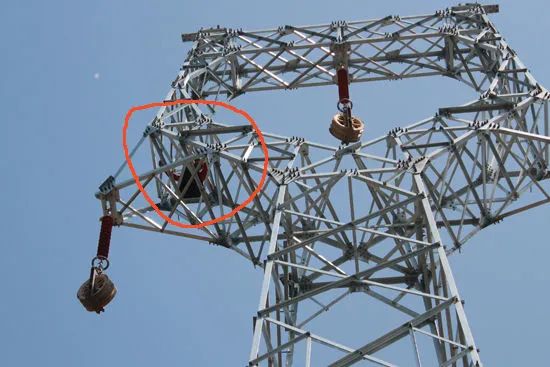 炒菜太咸怎么办,做菜咸了怎么办放糖还是加水