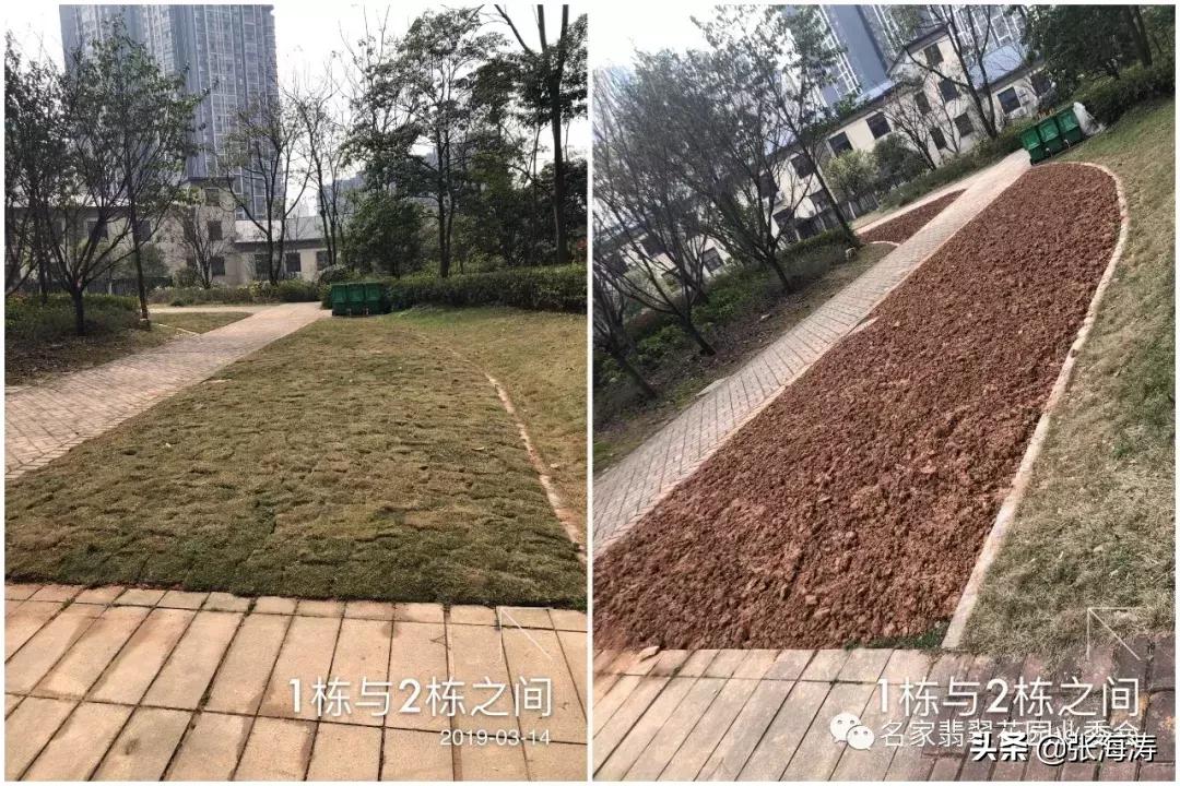 业委会整改小区绿化,名家翡翠花园业委会