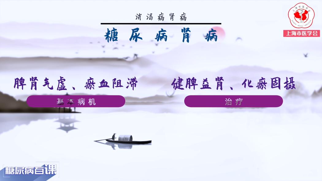 中医药治疗糖尿病肾病四期,糖尿病肾病中医讲解视频