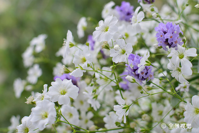 母女相差年龄小的说说,妈妈小小说
