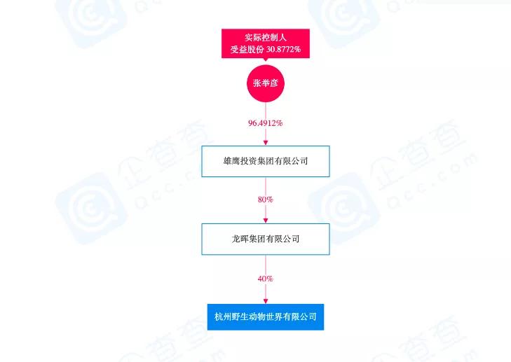 “瞒豹”动物园的股东：投资地产被执行，瞄上“灵丹妙药”犀牛角
