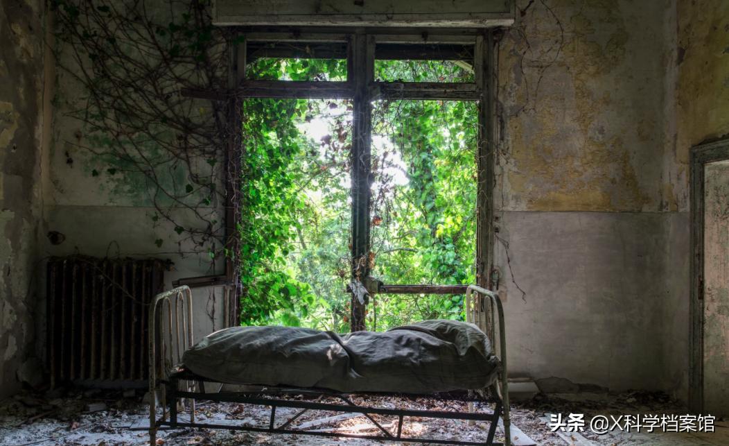 禁止人类参观的地方有哪些,世界禁忌之地排行榜