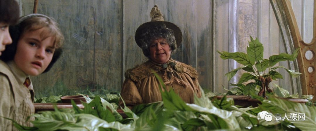 高人碟报：中录华纳正版BD《哈利波特与密室》