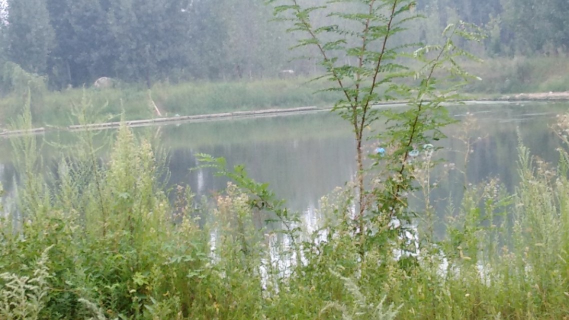 野钓腥味饵料排行榜第一名,腥味饵料钓虾