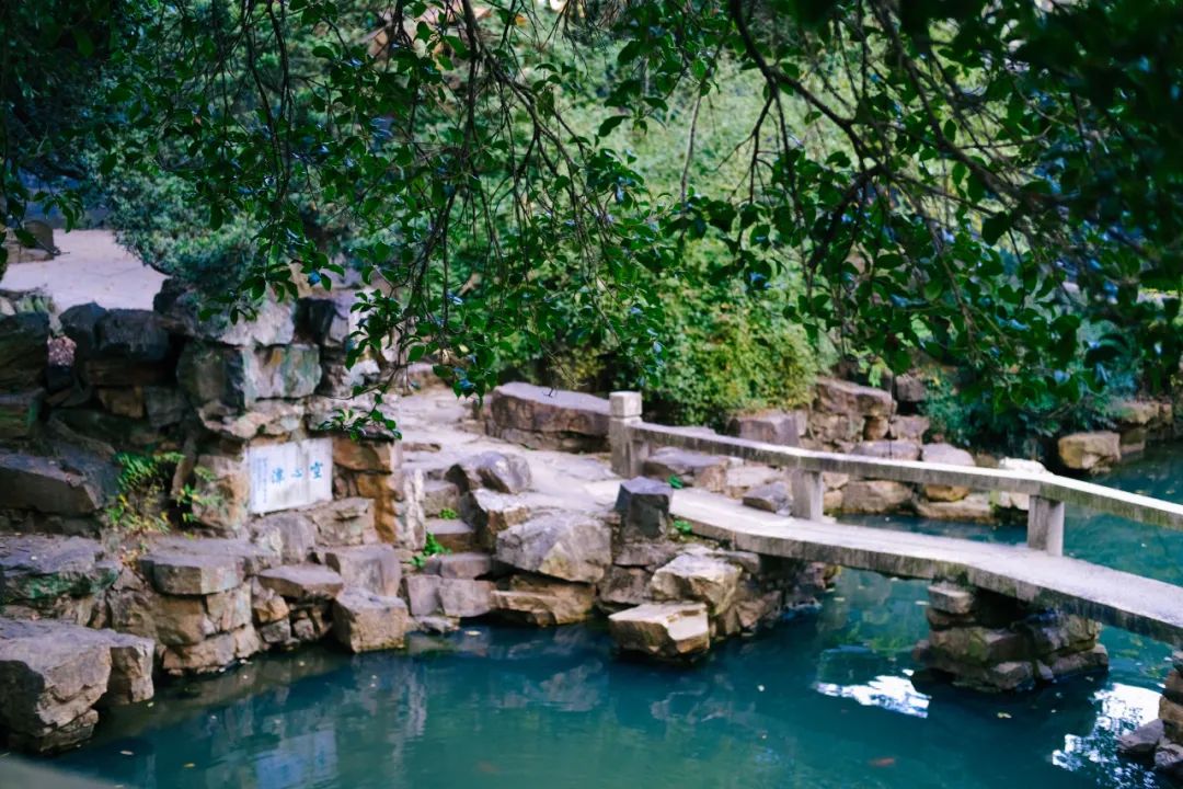 武汉大学教授唐诗宋词,武大教授讲唐诗