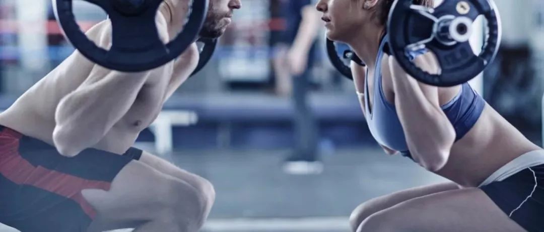 增肌入门教学课程简介,增肌金字塔法则