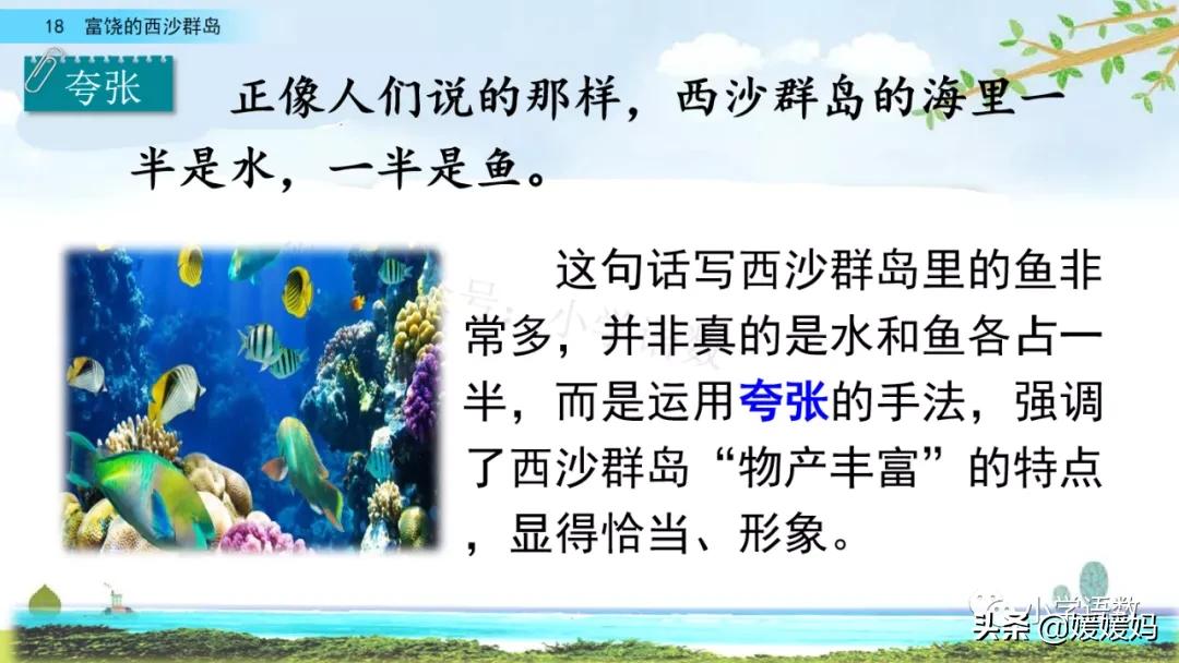 三年级第18课富饶的西沙群岛视频,三年级上册18富饶的西沙群岛笔记