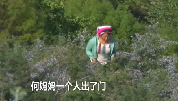 变形计富二代给爸爸买皮鞋,变形计穷富二代