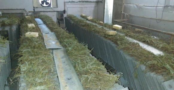 2022土鳖虫养殖有前途吗,土鳖养殖前景怎么样