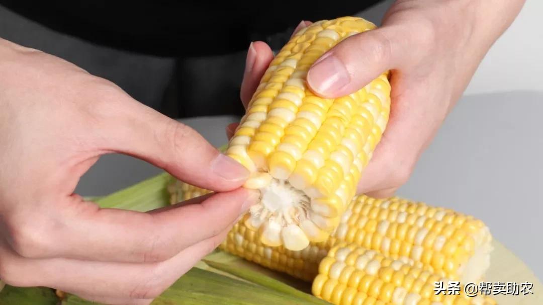 来自云南大山新鲜的橙子,新鲜爆甜水果玉米