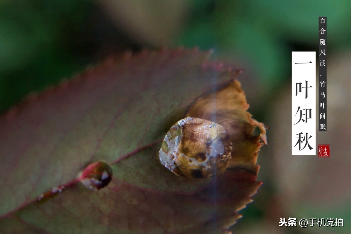 照片带水印怎么设置自己的名字,图片上怎么加名字水印