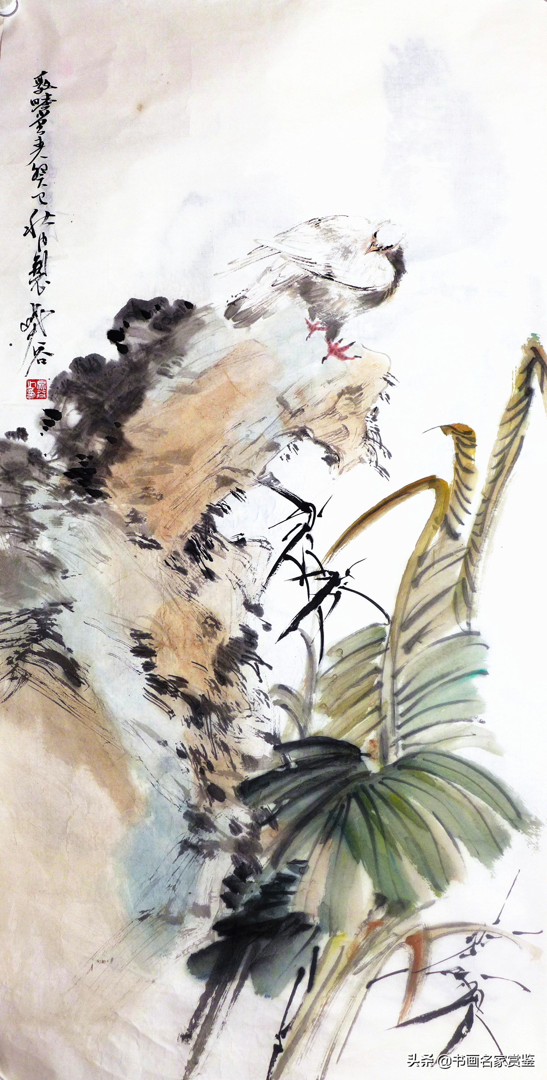 尽日高斋无一事，芭蕉叶上独题诗——一枝蕉叶祝夏安