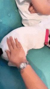 搞笑gif趣图妹子你别闹了,搞笑gif趣图妹子你这笑容太魔性了