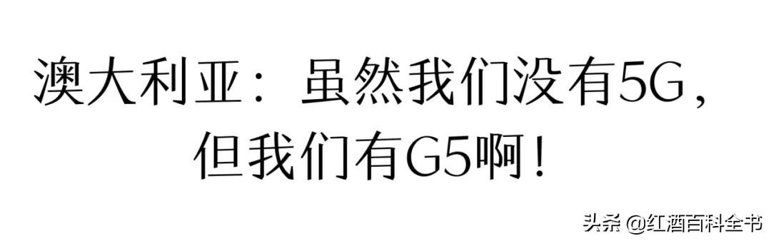 奔富最好的一款,奔富g4红葡萄酒