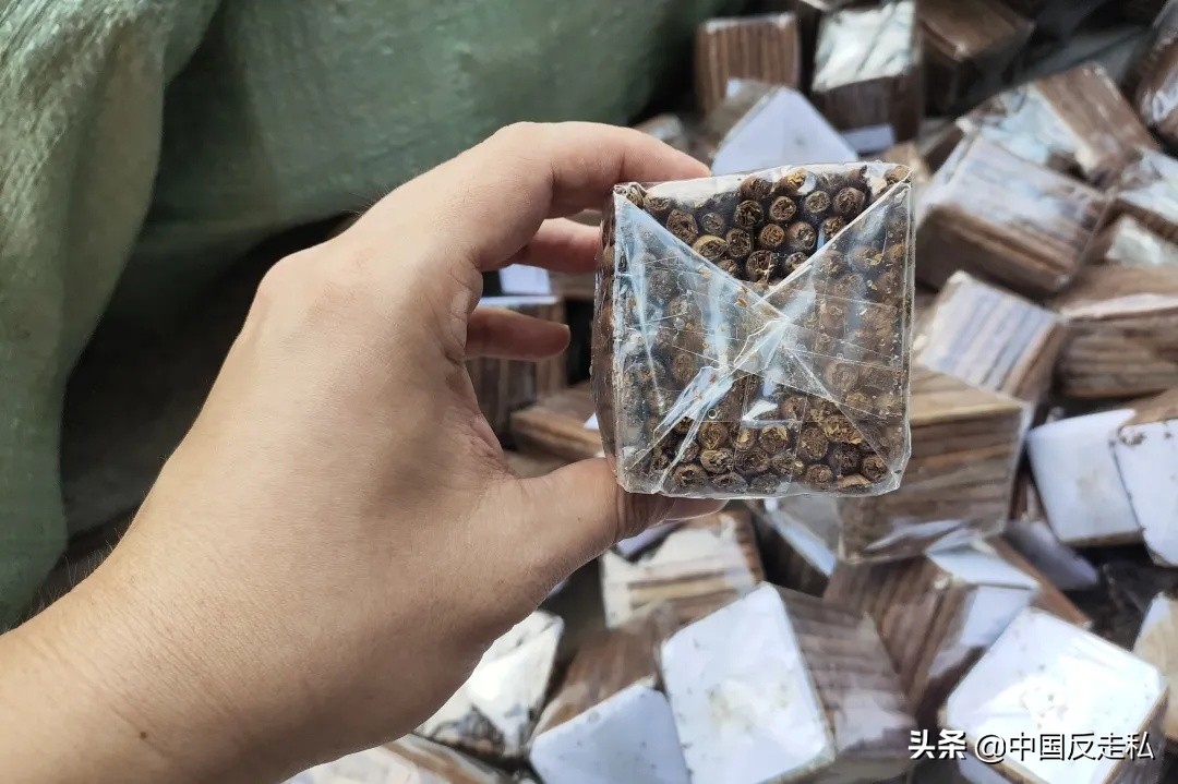 国门利剑缉私案件,国门利剑2019破案