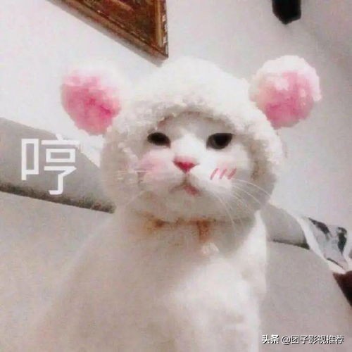 1917年世界大战电影,最真实的战争电影1917