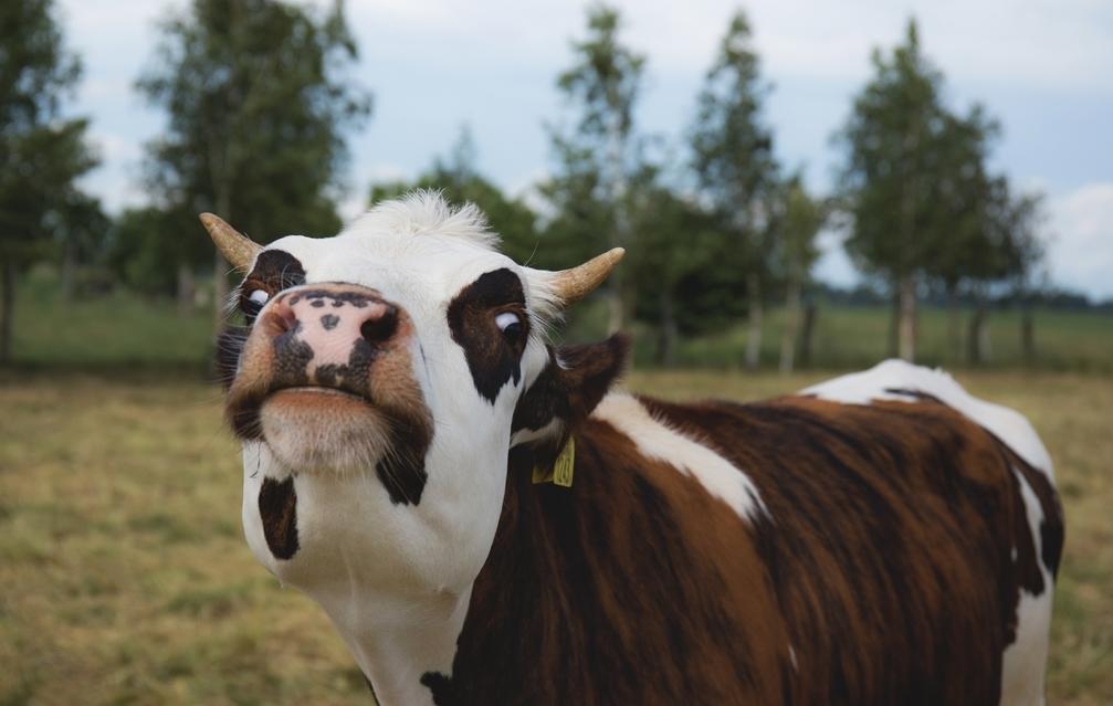 新生儿奶粉排行榜前十,新生儿奶粉排行榜爱他美