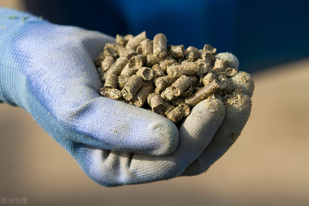 冬天用红虫酒米还是麝香酒米打窝,钓鱼怎么诱鱼打窝技巧图片