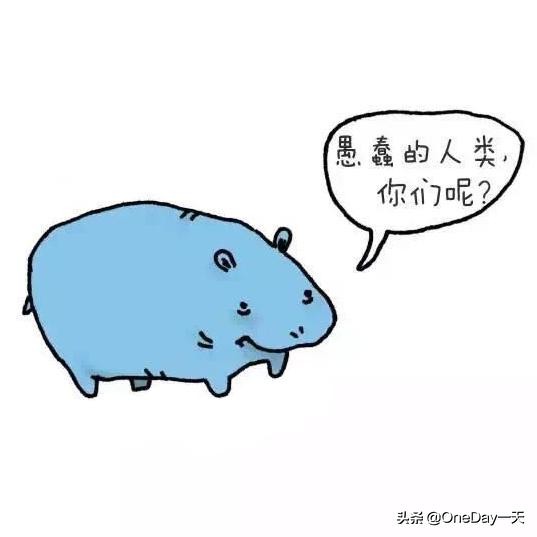 动物冷知识搞笑动画,搞笑动物冷知识22