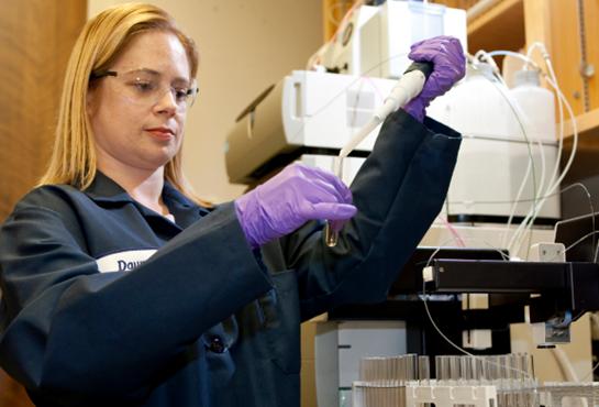 元素帝国的人物,元素帝国的功臣