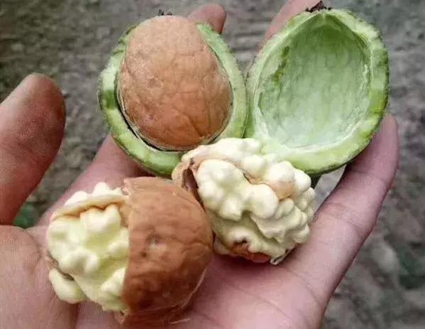 NO.874:阿克苏这个公司月工资5000元以上,看看你合不合适?