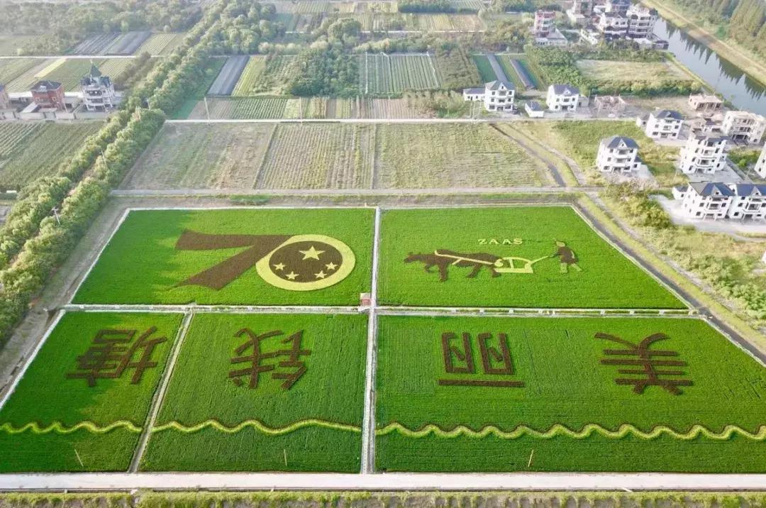 震撼!钱塘江畔出现巨型画作,有28个足球场这么大!