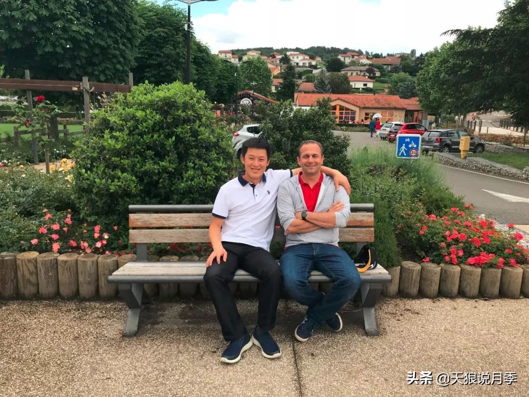 不用修剪的月季,不用打药的月季