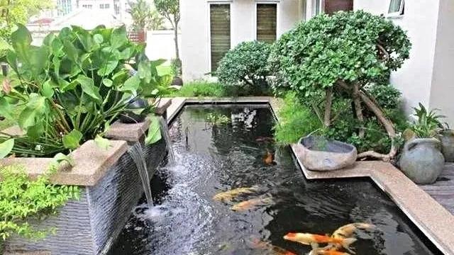 鱼池封碱后还要除碱吗,鱼池除碱最快最好的方法