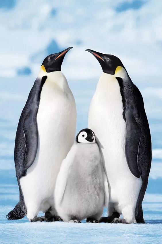 发现被别人偷拍照片,偷拍别人的照片是否违法