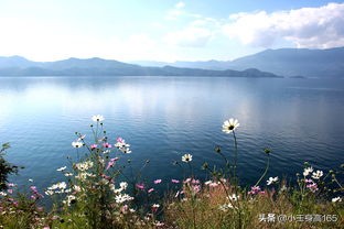 数学一考研复习,考研数学复习老师