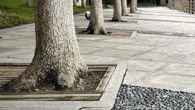 各种路况都能走的摩托,各种路况都能跑的摩托车