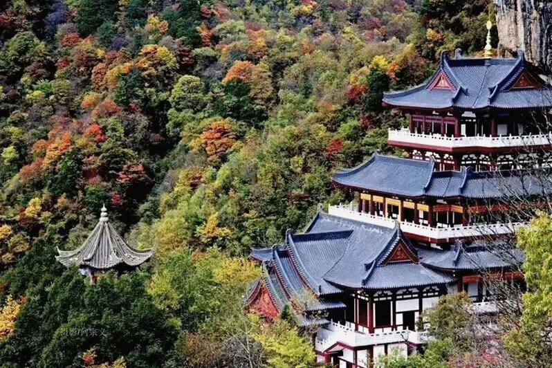 抓住秋天的尾巴走进冬天,抓住秋天的尾巴寻最后一抹金黄