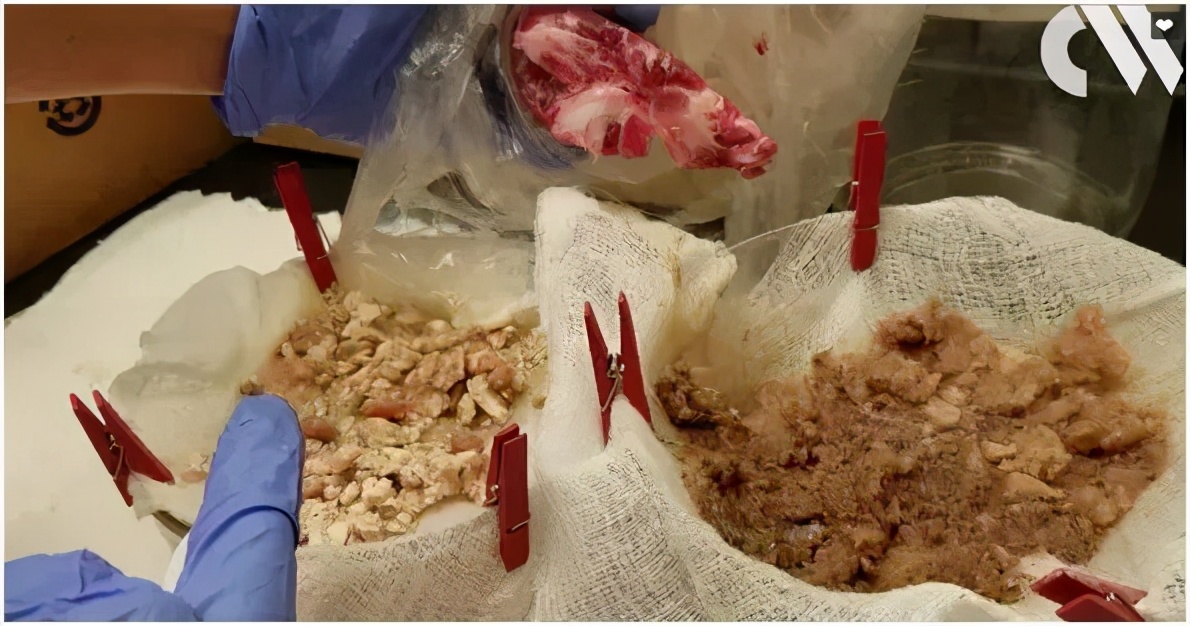 都市传说绿色尸体,化尸水真实事件