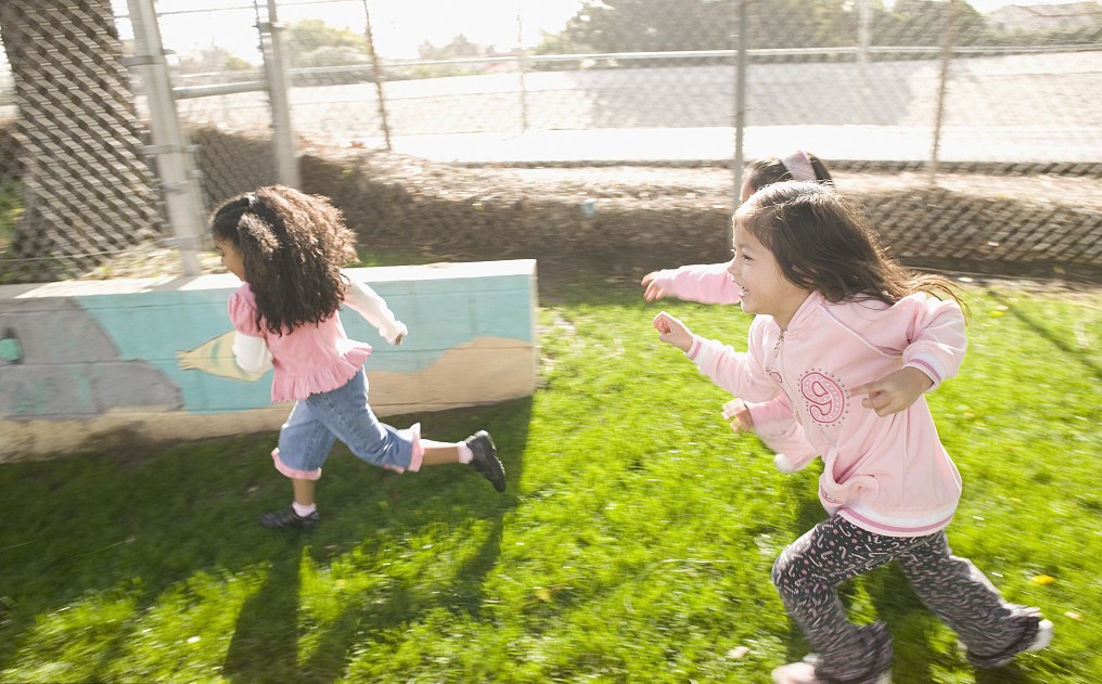 多鲸资本合作人员,多鲸资本教育研究院