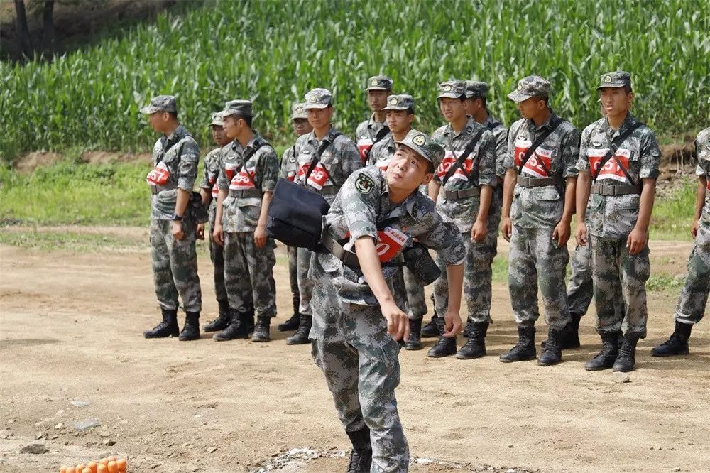 轻轻的你来了散文,轻轻的你来了语录