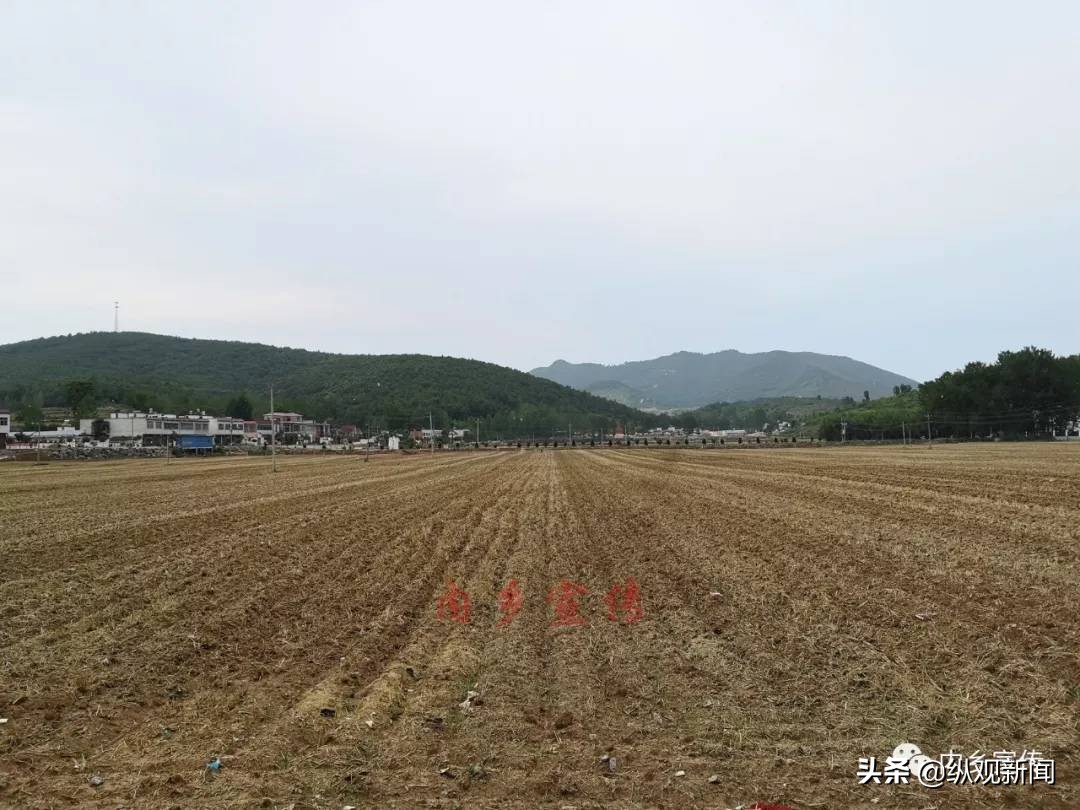 内乡县桃溪镇桃庄河村,内乡县桃溪镇桃庄河邓家洼