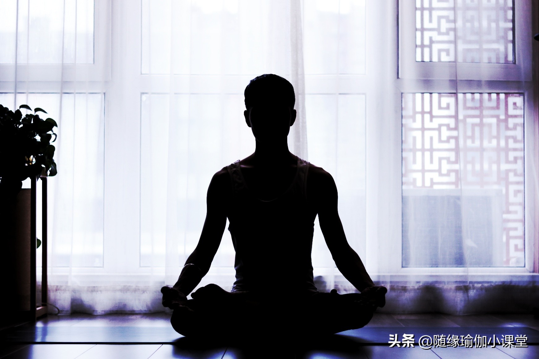 什么瑜伽是所有瑜伽的基础,瑜伽零基础从什么瑜伽开始