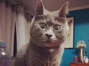 弱势群体里包括孕妇吗,我国的弱势群体