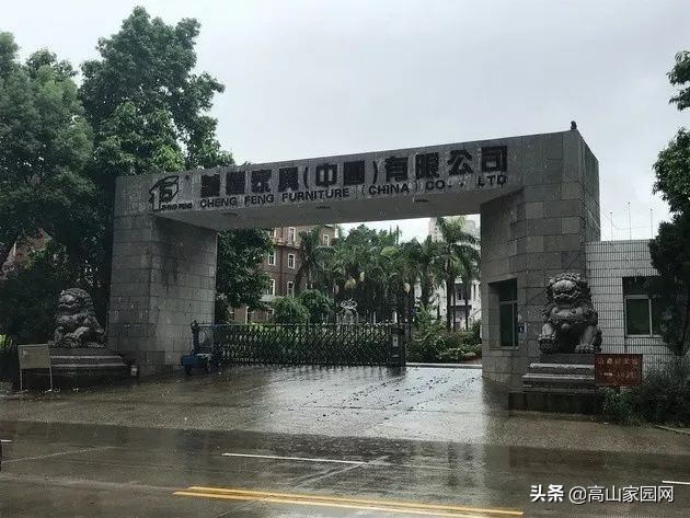 福清老板拥有的一根木头,能值600万?