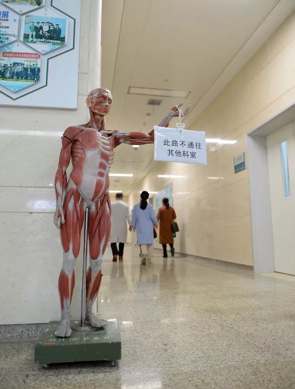 比人体指路牌更硬核的来了……