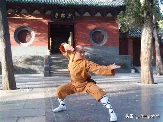 鹤形拳基础教学,少林五行拳鹤拳