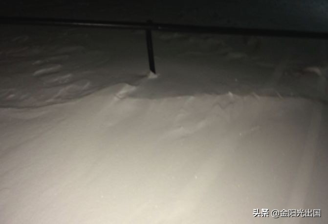 鐣欏閯欒閾句箣瀛︽牎鎺掑悕,琚鐢熷潙鎯ㄧ殑澶у