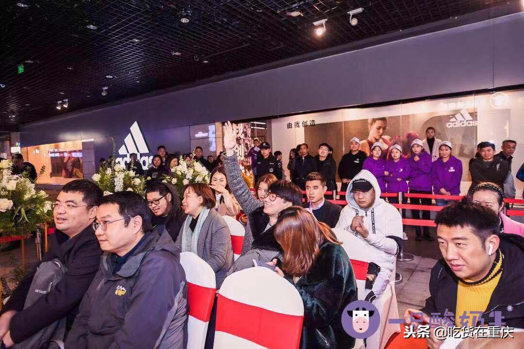 一只酸奶牛门店开业盛况,一只酸奶牛多久回本