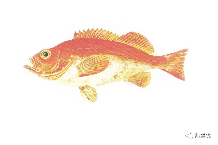 挪威和中国签订协议,挪威希望与中国加强合作