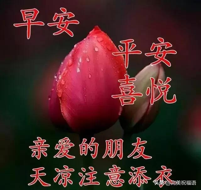 早上好漂亮的早安图片带祝福语,最美早安祝福图片与早安祝福语
