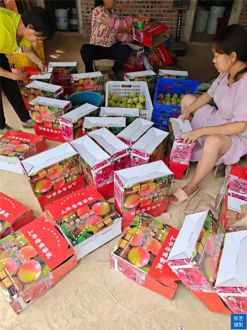 80后放弃广州高薪回家创业,放弃深圳高薪回家农村创业