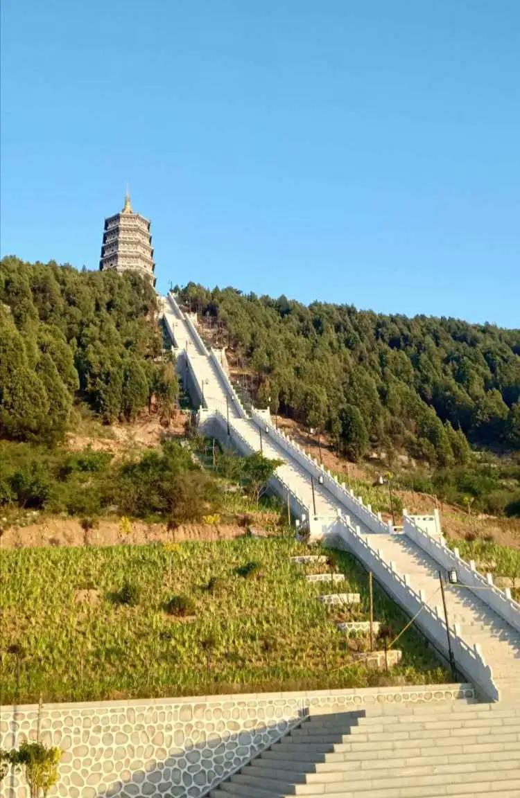 咏柳智永千字文,咏柳书法千字文