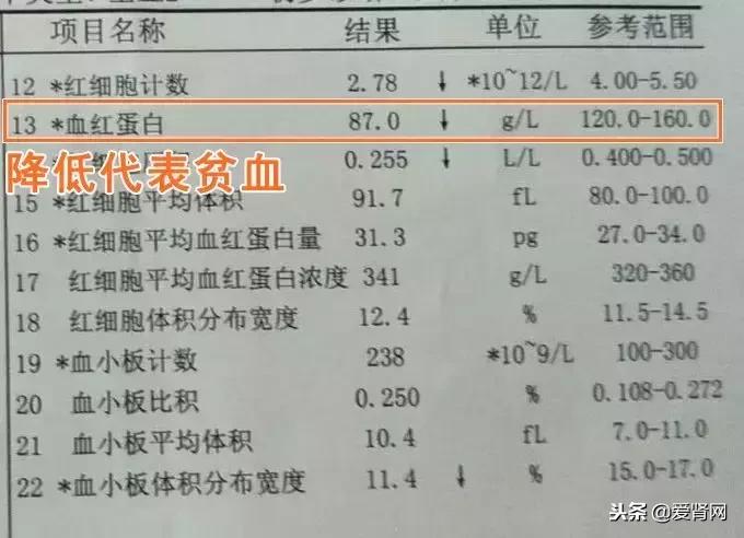 复查心里没底？简单易懂的肾内科检查解读，给每一位需要的肾友